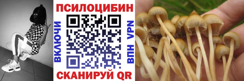 Галлюциногенные грибы MAGIC MUSHROOMS  Купить где  Камызяк 